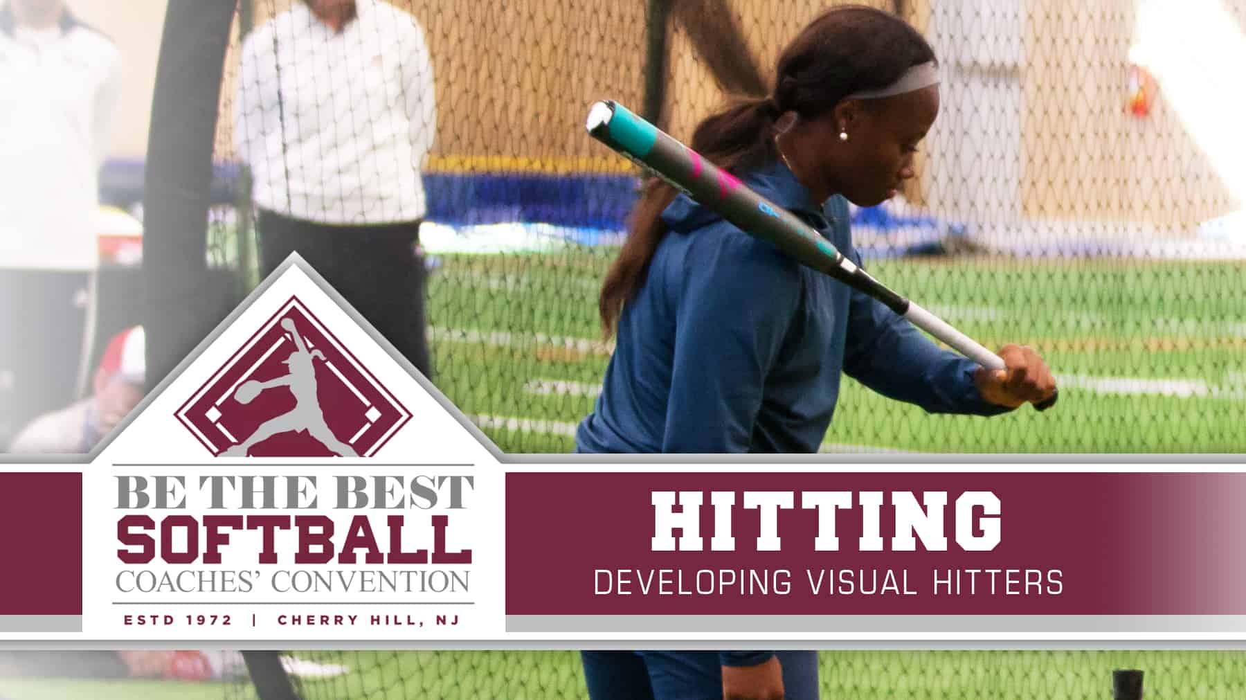 Hitting Developing visual hitters The Art of Coaching Softball
