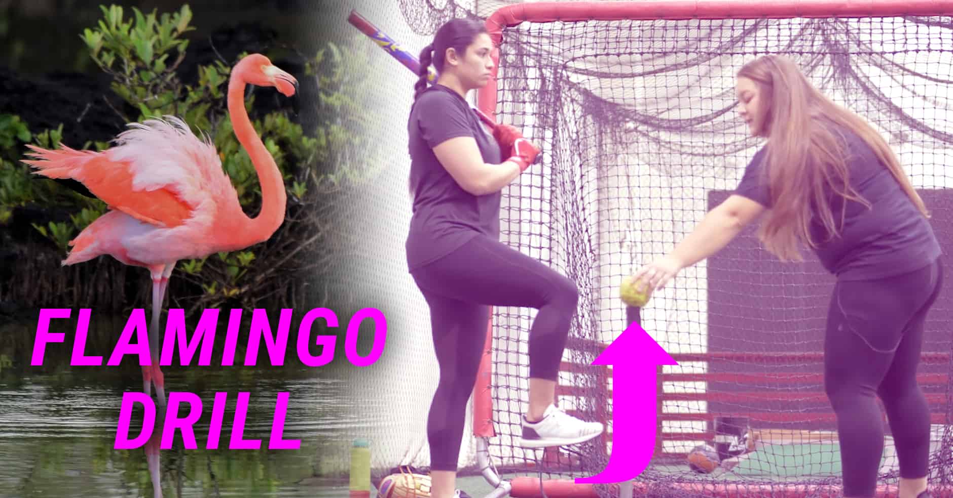 Flamingo hitting drill for good weight shift - The Art of Coaching Softball