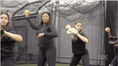 Amber Freeman Catcher Training Series - Image 3