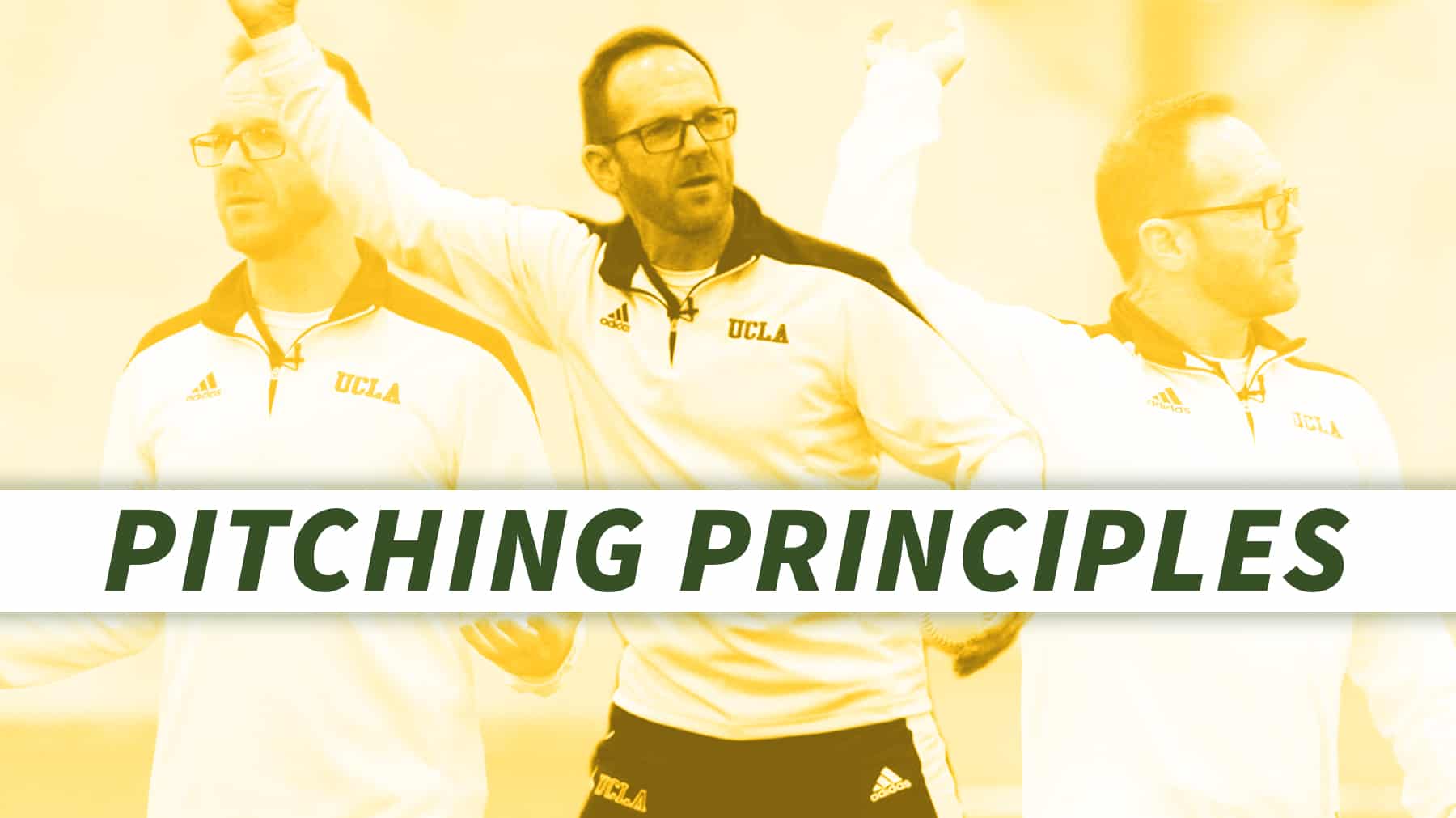 Pitching Overview and principles The Art of Coaching Softball
