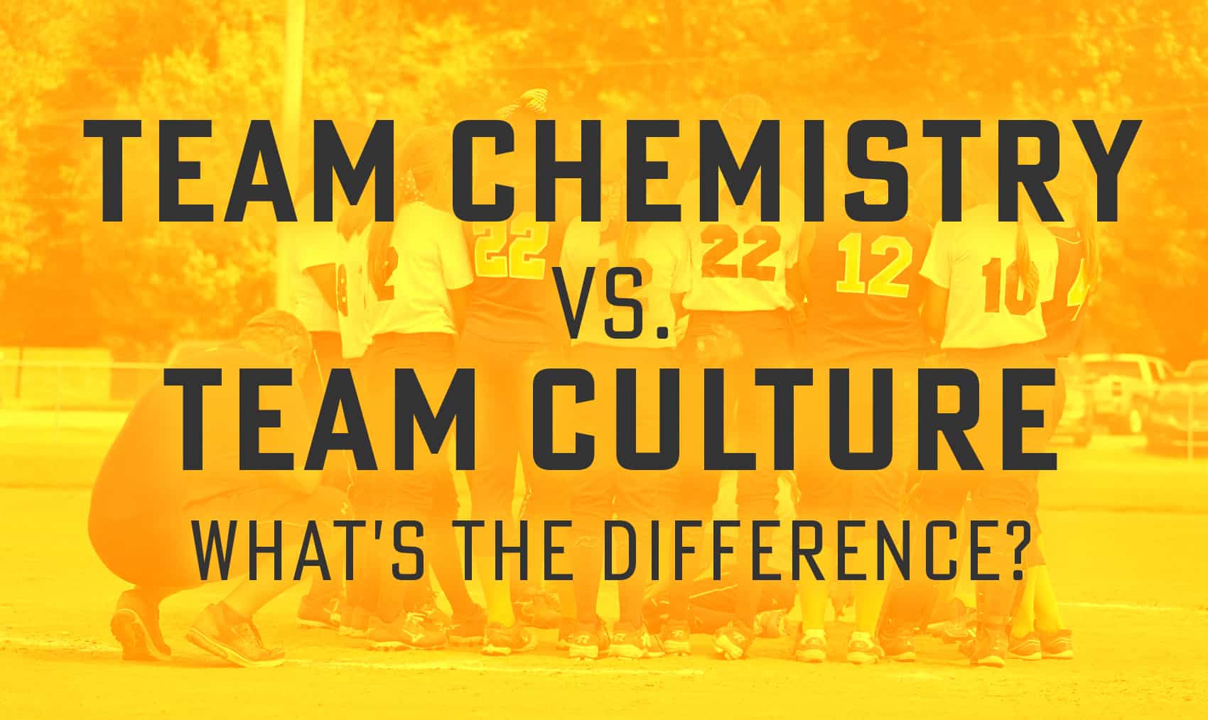 Team chemistry vs. team culture What’s the difference? The Art of