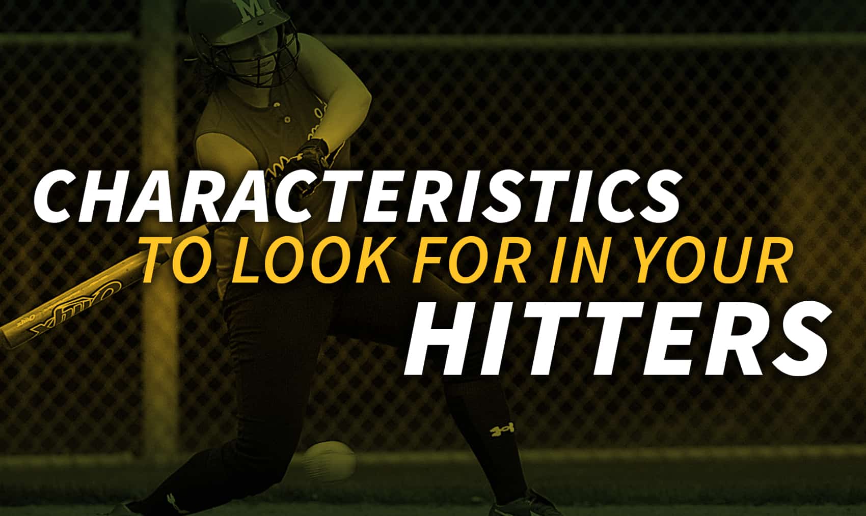 Characteristics to look for in your hitters - The Art of Coaching Softball
